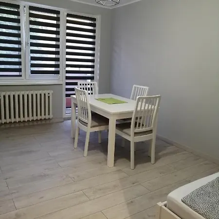Stogi - Apartament W Poblizu Plazy Διαμέρισμα Γκντανσκ